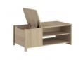 MEU0580 TABLE BASSE BETTY rectangulaire Betty avec rangement.JPG