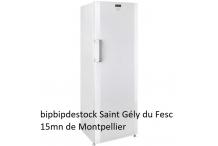 BEKO FS127330N Congélateur armoire 237L - Froid statique - Freezer Guard -15°C